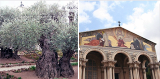 http://celebration.heritagestudyprograms.com/images/jesus-to-gethsemane.png
